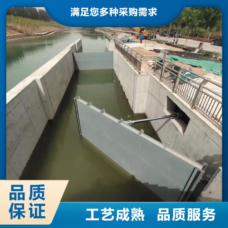 钢坝闸门,合页钢坝从厂家买售后有保障
