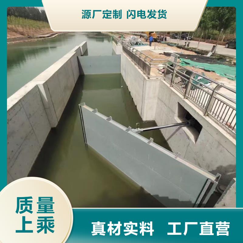 钢坝闸门钢制拍门服务周到