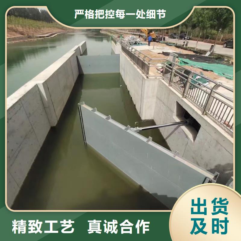 钢坝闸门景观钢闸门老品牌厂家