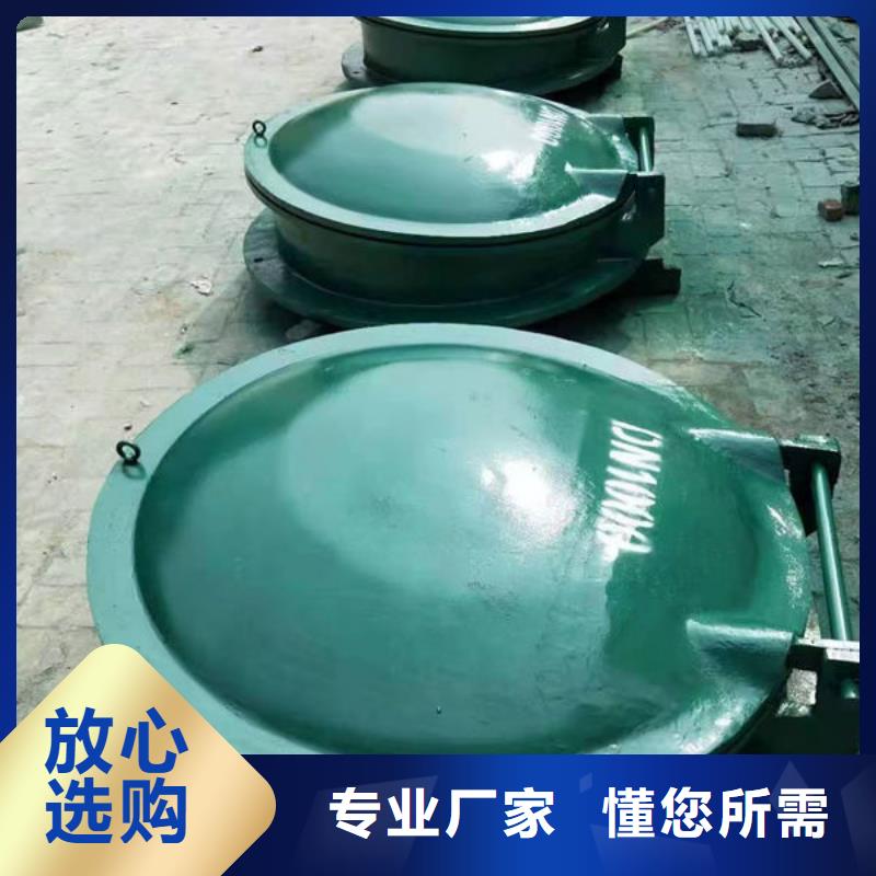 拍门_球墨铸铁拍门免费获取报价
