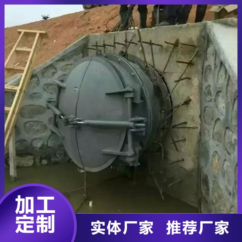 拍门球墨铸铁拍门质检严格