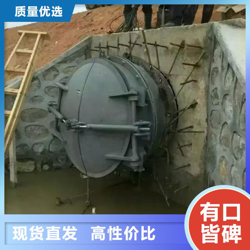 拍门钢制拍门用的放心