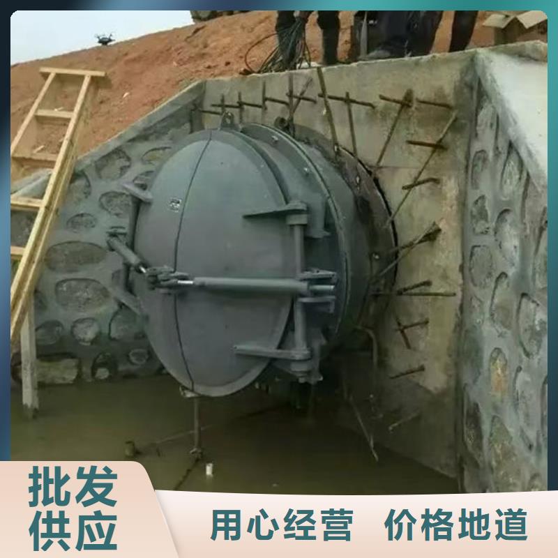 拍门_球墨铸铁拍门免费获取报价