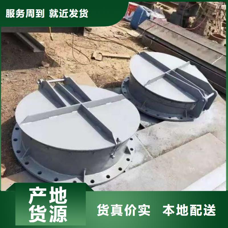 拍门球墨铸铁拍门厂家