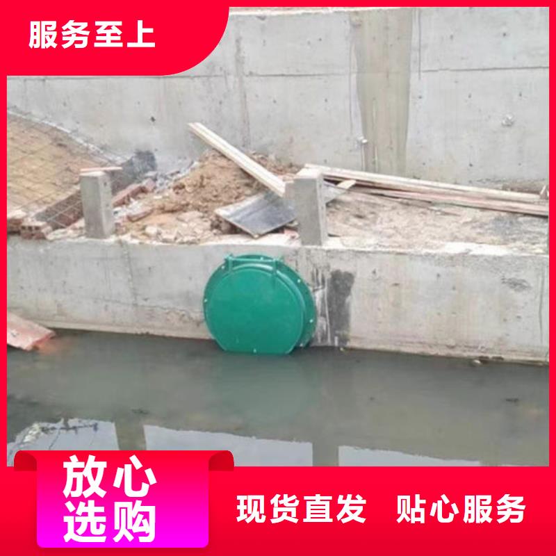 拍门不锈钢拍门高性价比