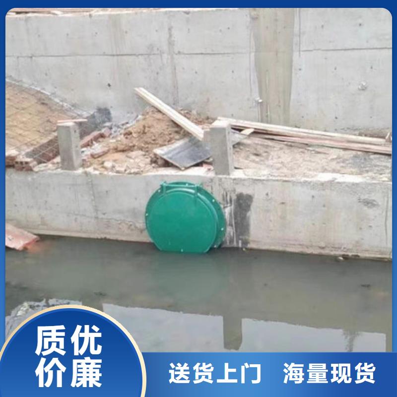 拍门,球墨铸铁拍门精工制作