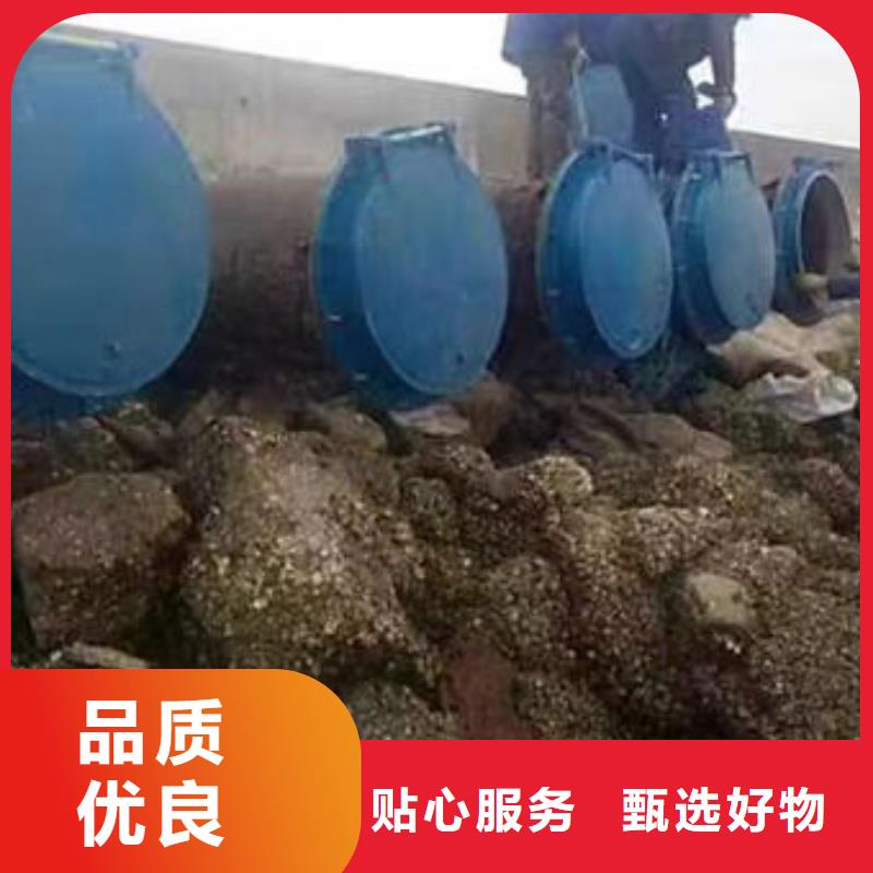 拍门,圆拍门定制速度快工期短