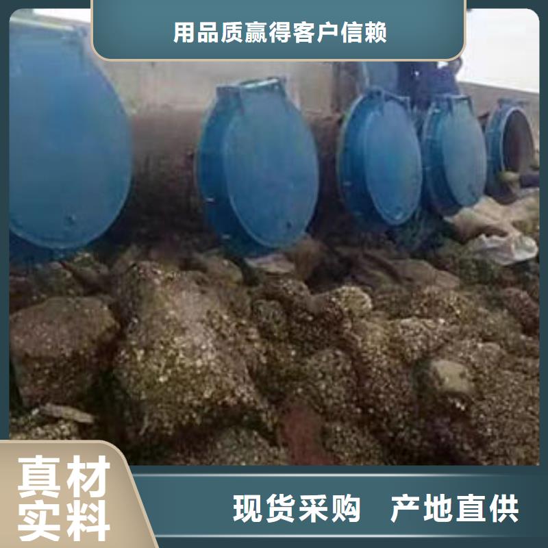 拍门钢拍门拒绝伪劣产品