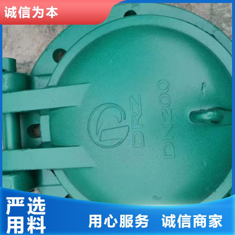 拍门钢拍门拒绝伪劣产品
