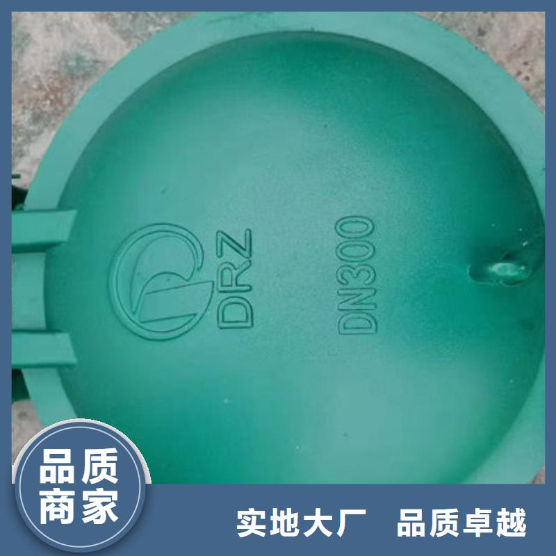 拍门复合材料拍门用品质说话