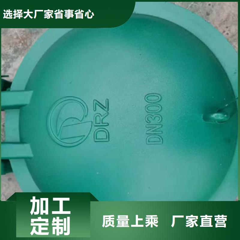 拍门复合材料拍门多种场景适用