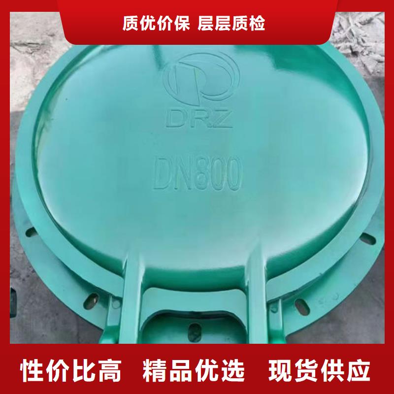 拍门_圆拍门多年行业经验