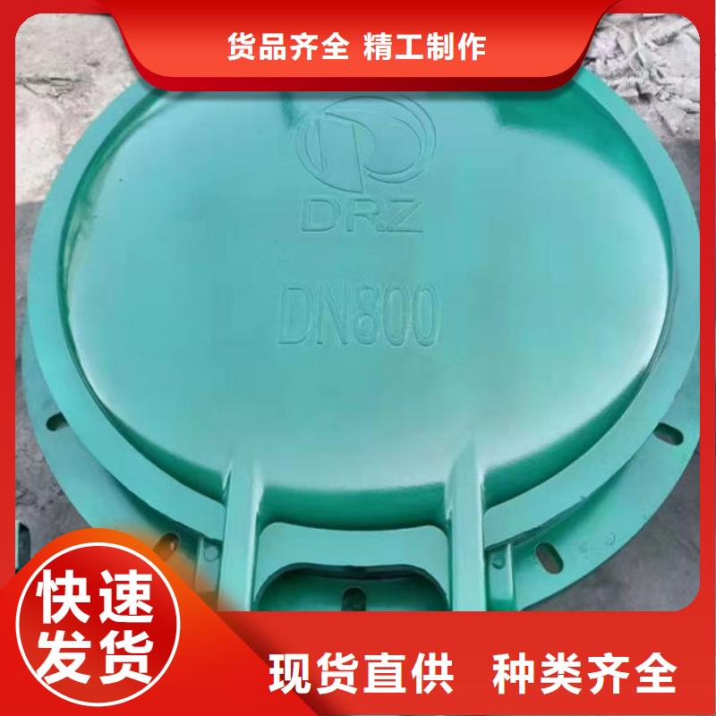 拍门球墨铸铁拍门货源直供