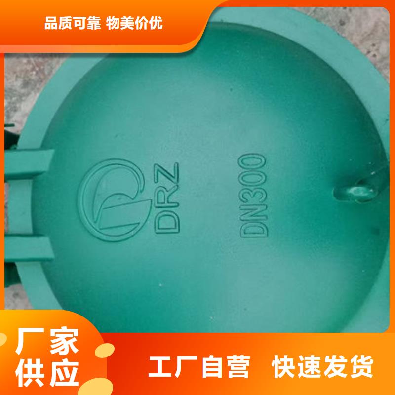拍门不锈钢拍门生产型