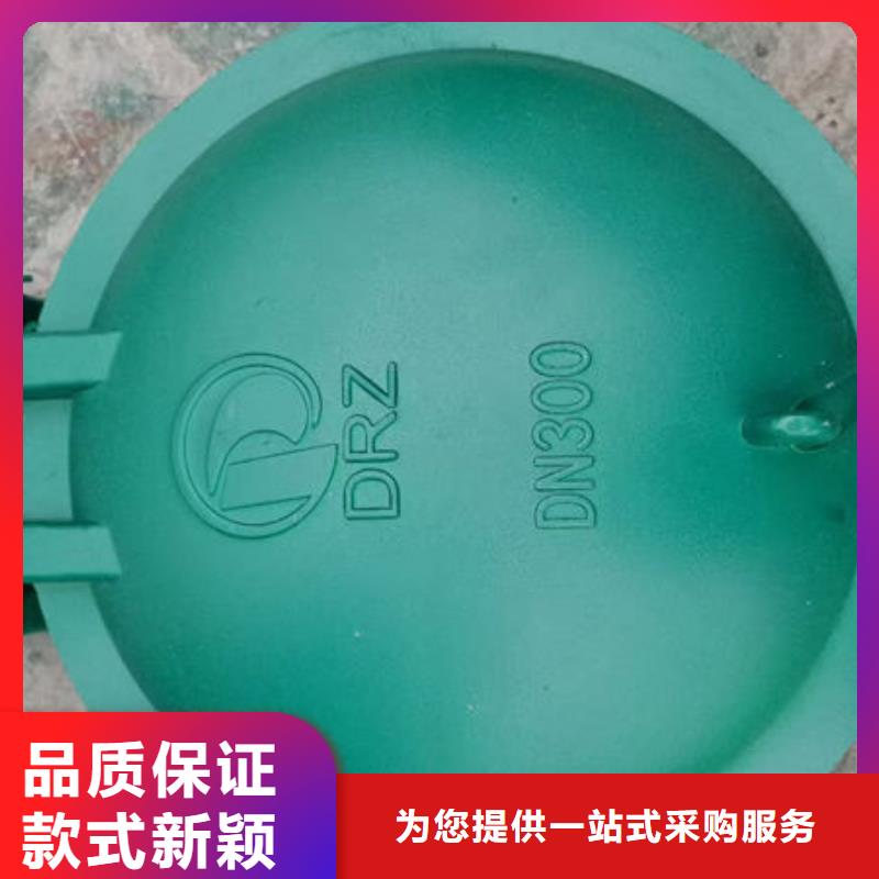 拍门球墨铸铁拍门品种全