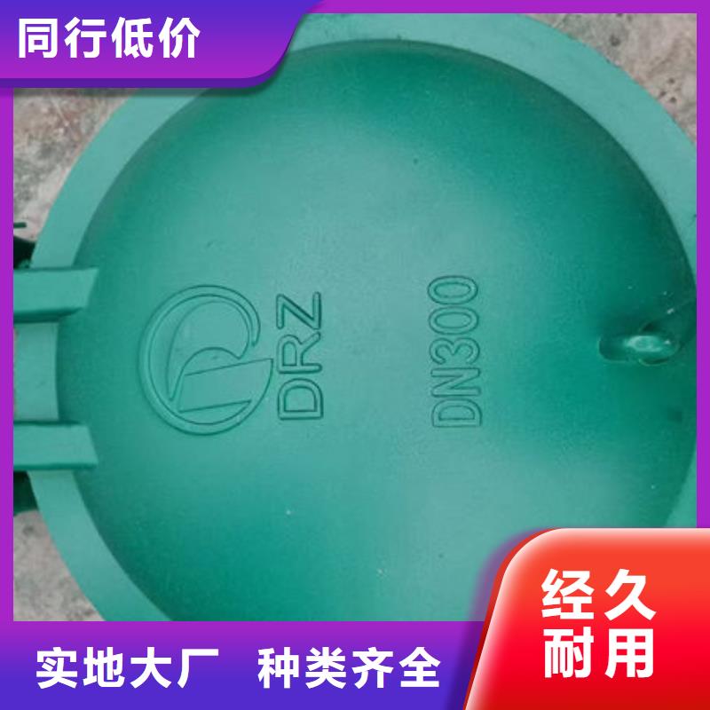拍门方拍门制造厂家