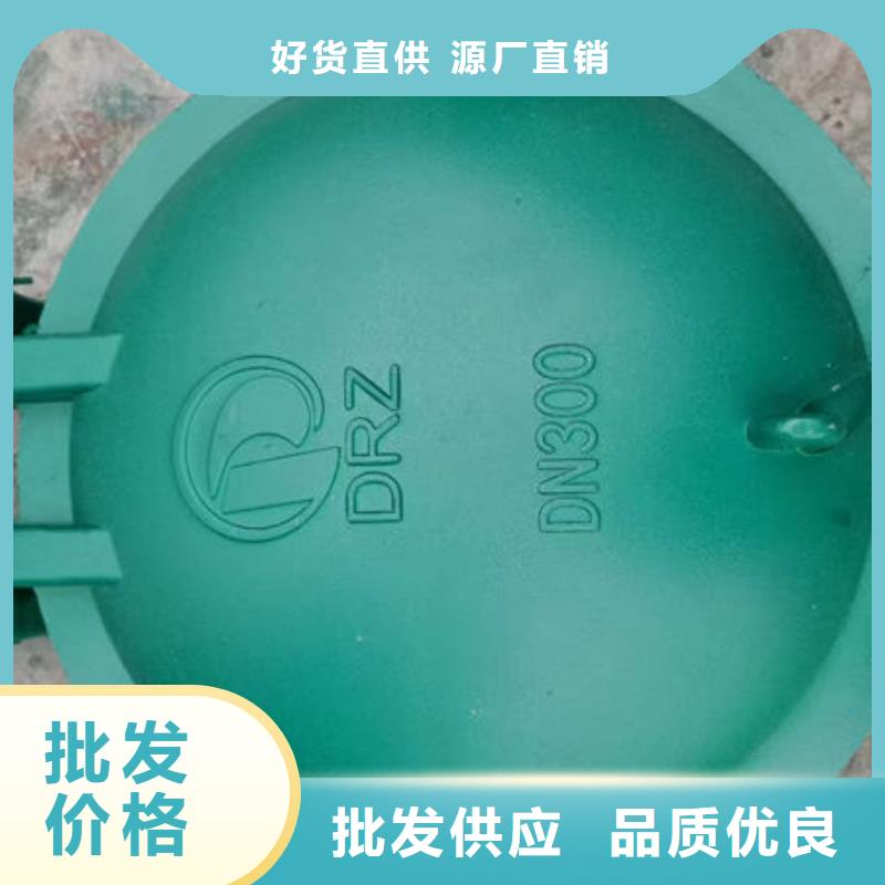 拍门铸铁拍门工厂认证