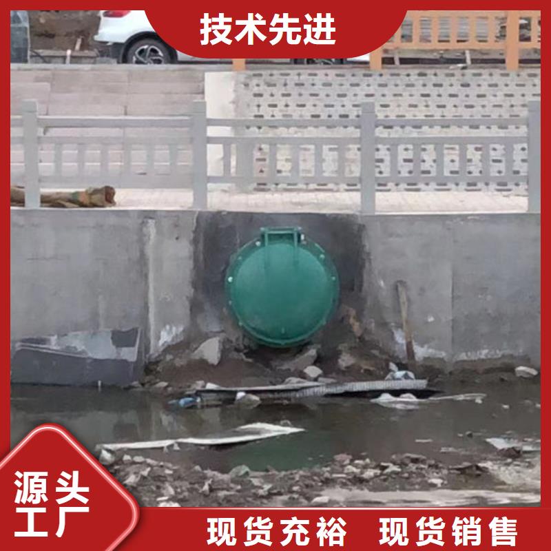 拍门防倒灌拍门您想要的我们都有