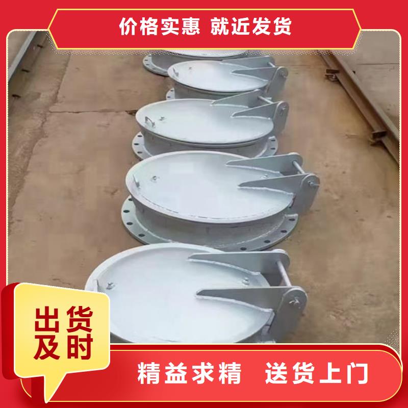 拍门防倒灌拍门做工精细
