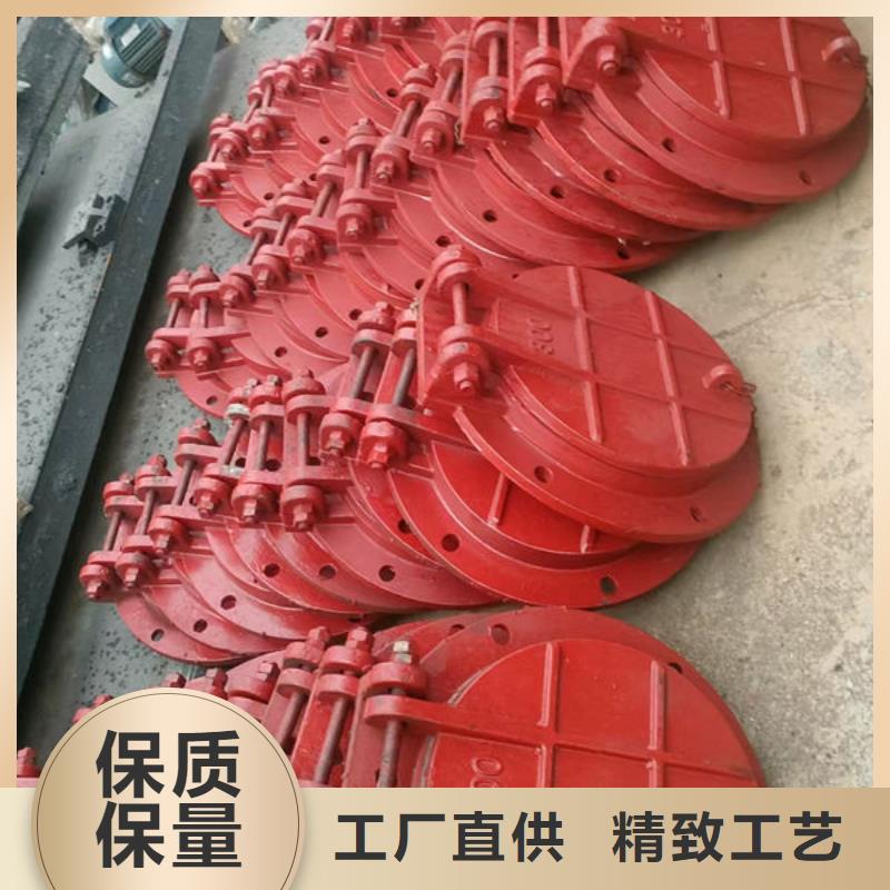 拍门铸铁拍门厂家直销规格多样