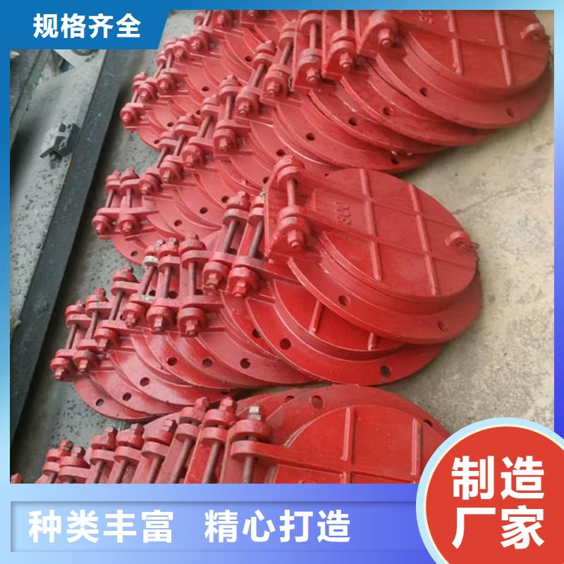 拍门-防倒灌拍门品质不将就