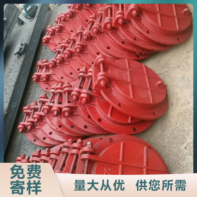 拍门不锈钢拍门质量无忧