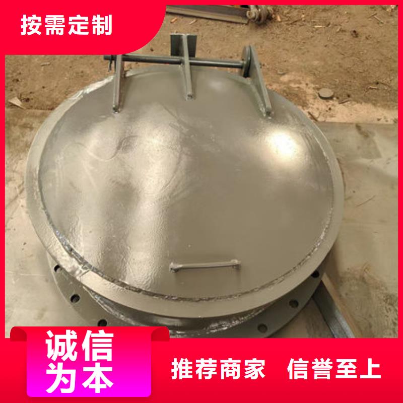 拍门球墨铸铁拍门品种全