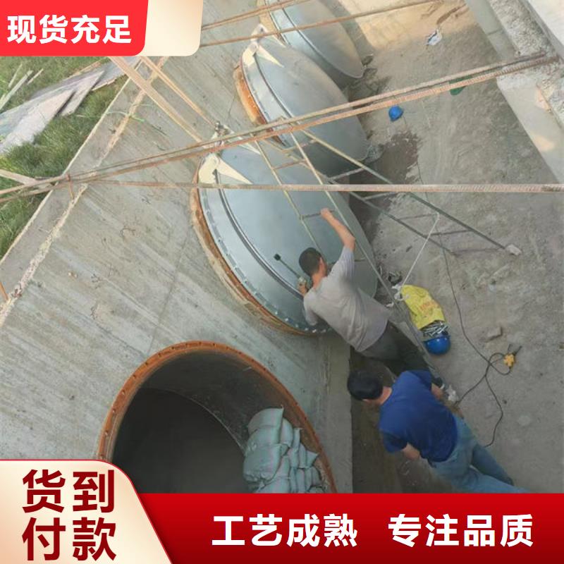 拍门不锈钢拍门生产型