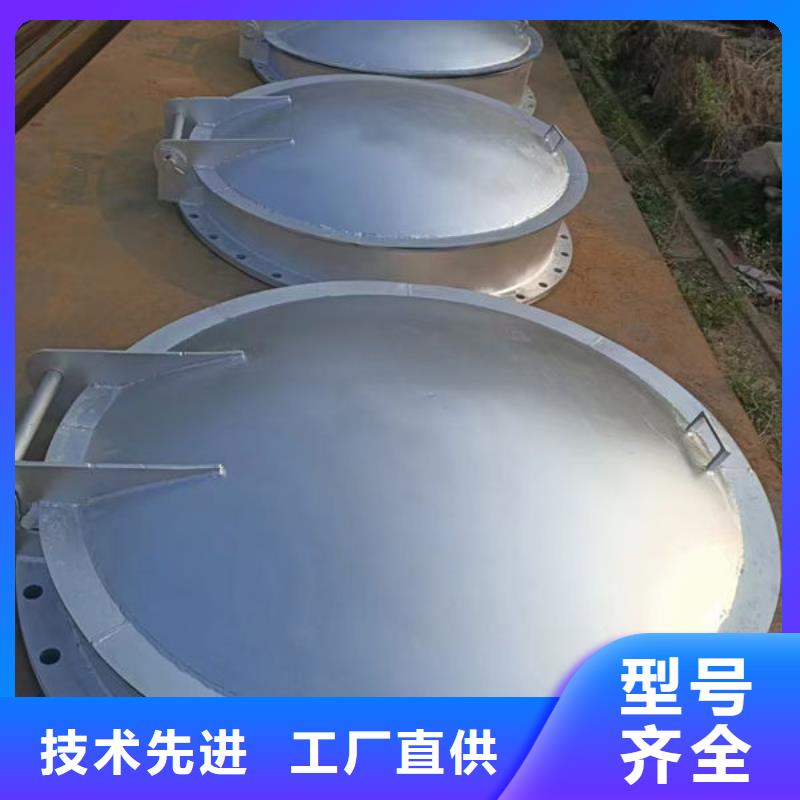 拍门,铸铁拍门符合行业标准
