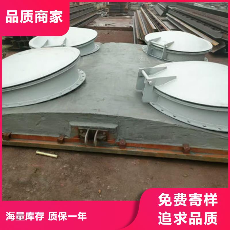 拍门-钢制拍门满足您多种采购需求