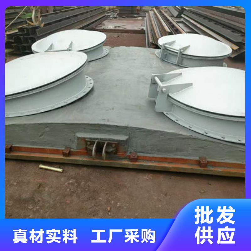 拍门防倒灌拍门支持货到付清