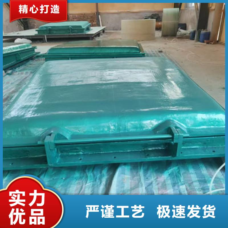 拍门不锈钢拍门厂家技术完善