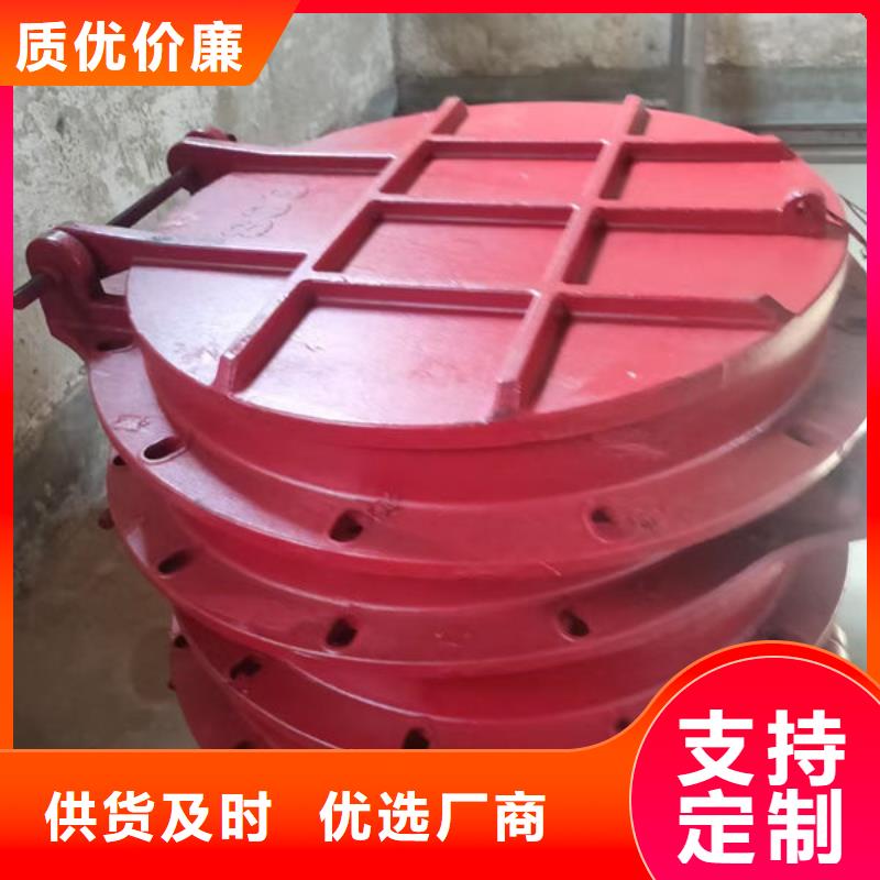 拍门球墨铸铁拍门品种全