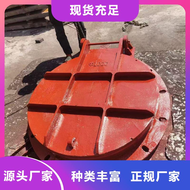 拍门不锈钢拍门按需定制