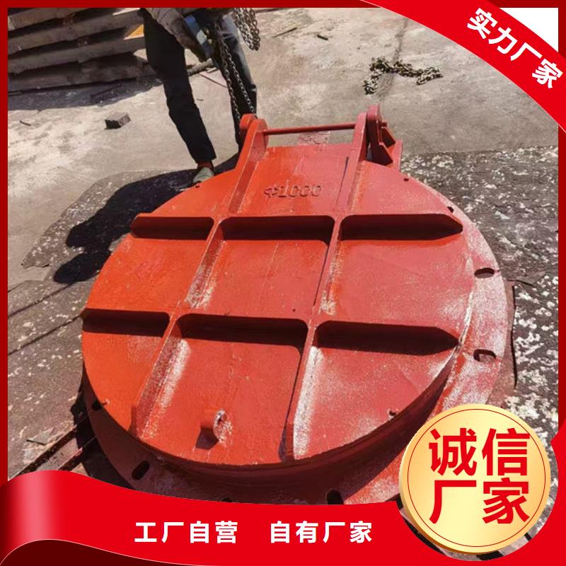 拍门不锈钢拍门高性价比