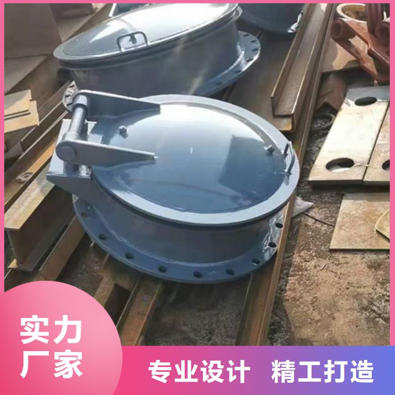 拍门不锈钢拍门源头工厂量大优惠