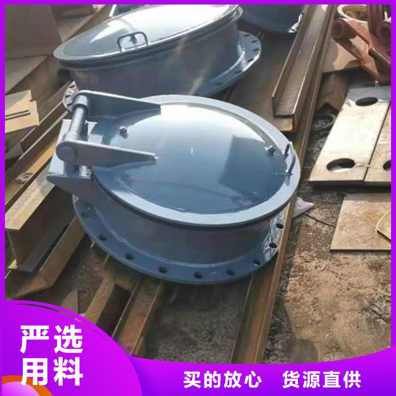 拍门不锈钢拍门高性价比