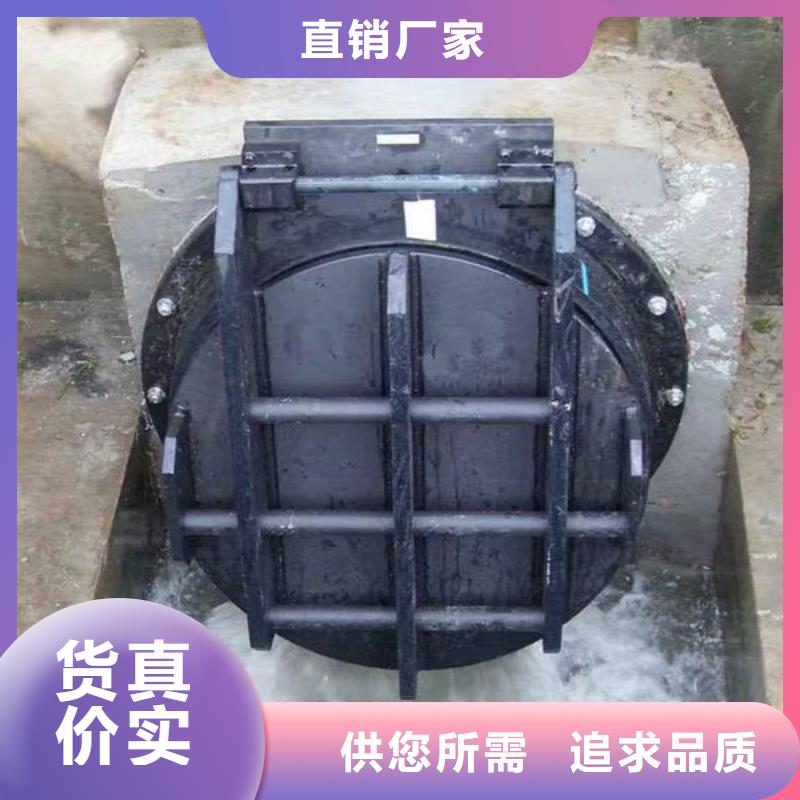 拍门钢制拍门用的放心