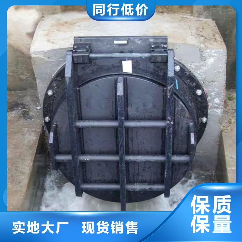 拍门_铸铁拍门采购