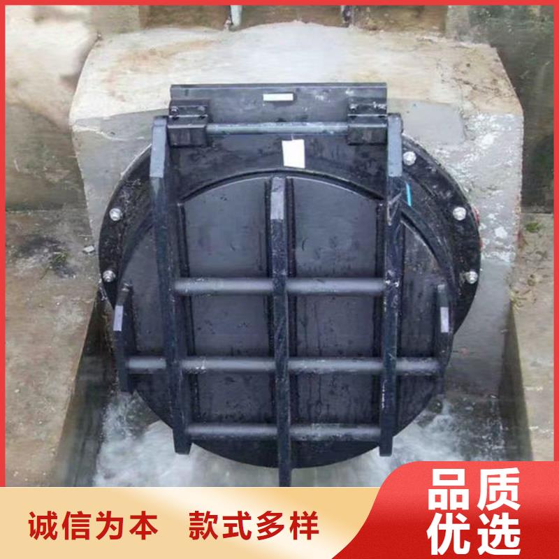 拍门-防倒灌拍门质检合格发货