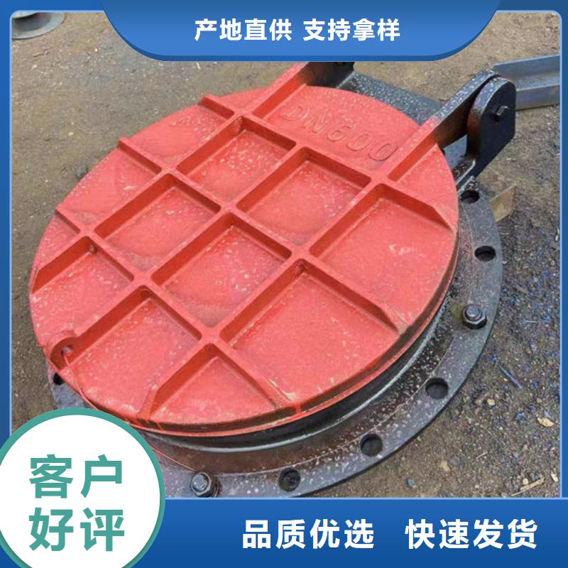 拍门不锈钢拍门现货采购
