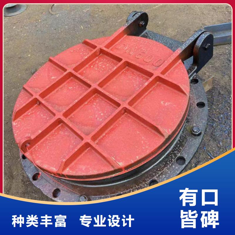 拍门不锈钢拍门生产型