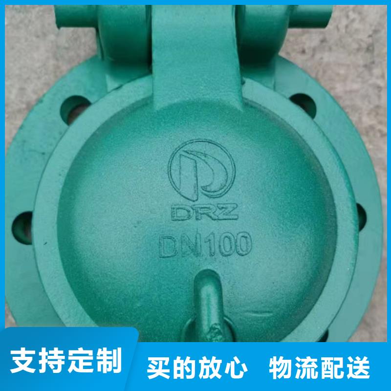 拍门铸铁拍门出货快