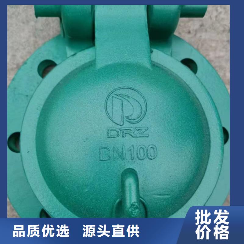 拍门球墨铸铁拍门质检严格