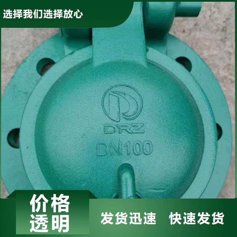 拍门铸铁拍门卓越品质保障
