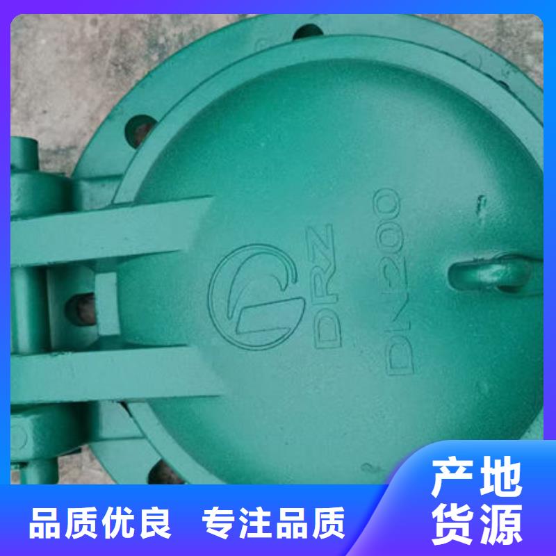 拍门钢拍门拒绝伪劣产品