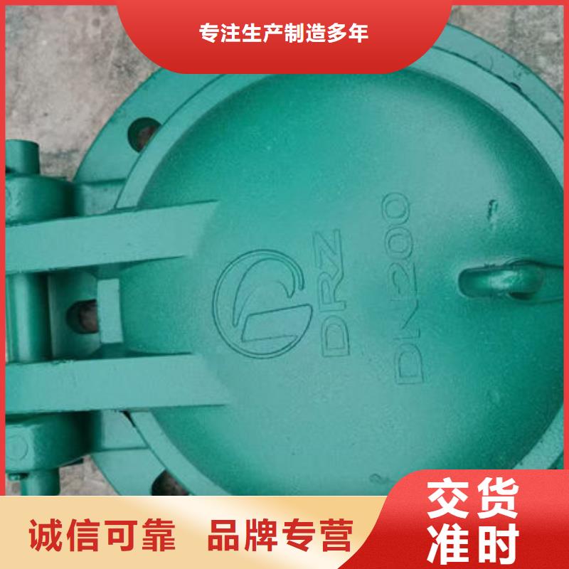 拍门防倒灌拍门支持货到付清