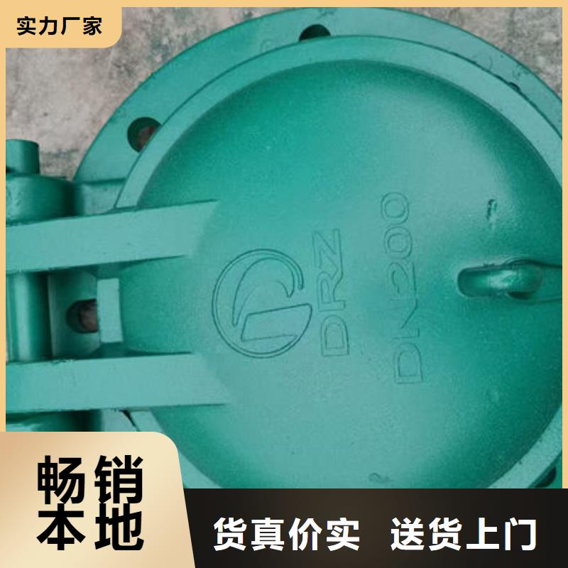 拍门钢拍门服务周到
