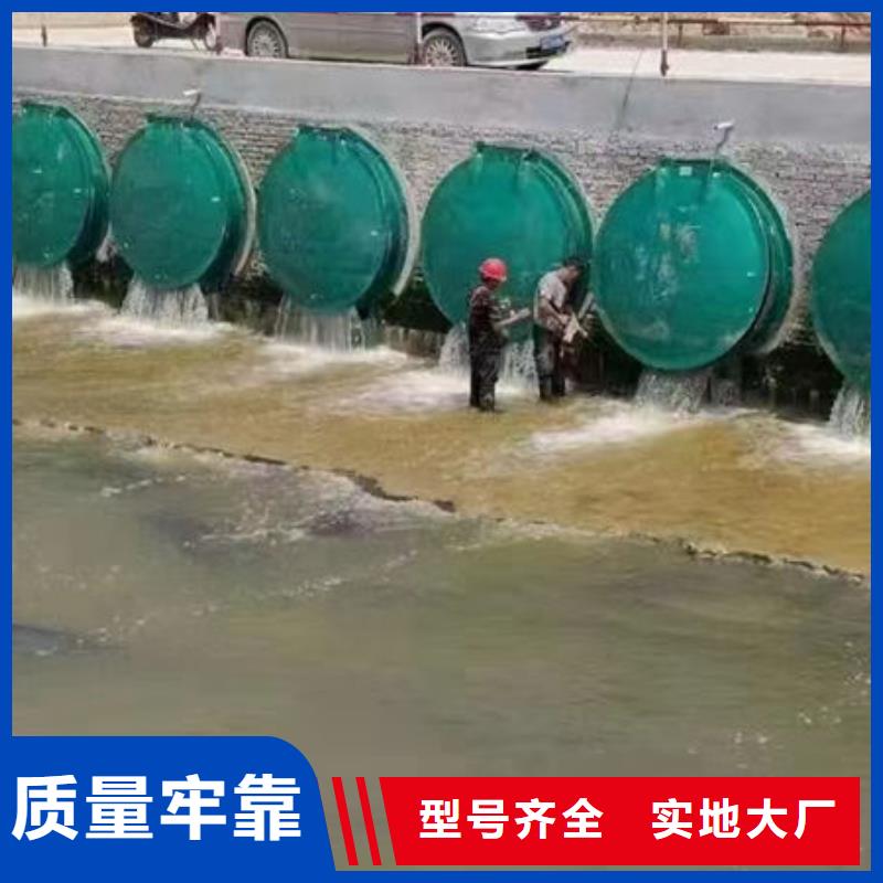 拍门-钢制拍门满足您多种采购需求