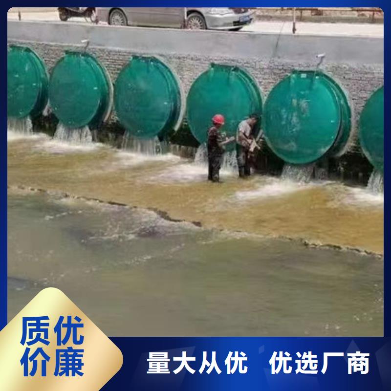 拍门球墨铸铁拍门源头厂家经验丰富